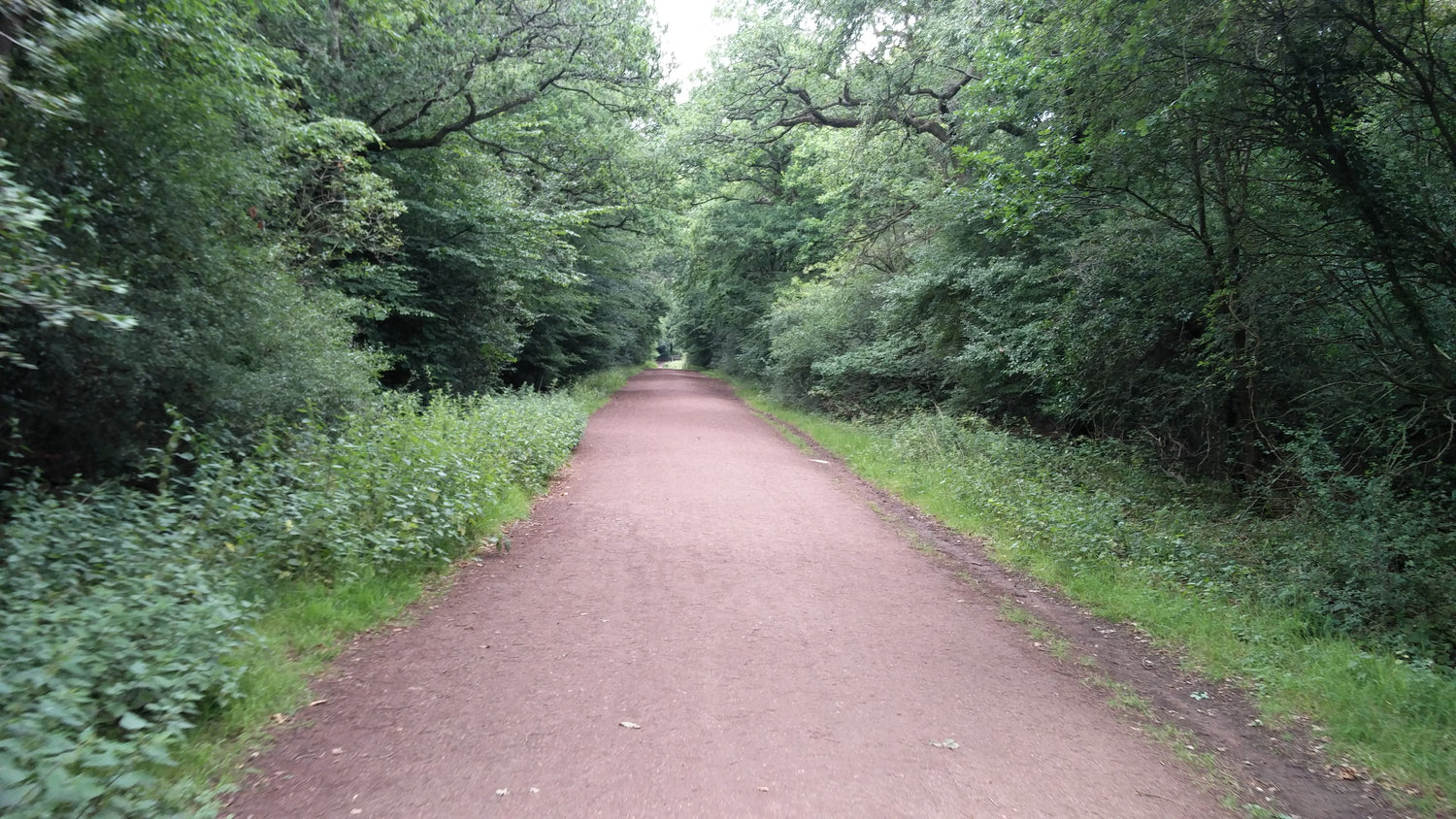 Epping Forest Experience banner