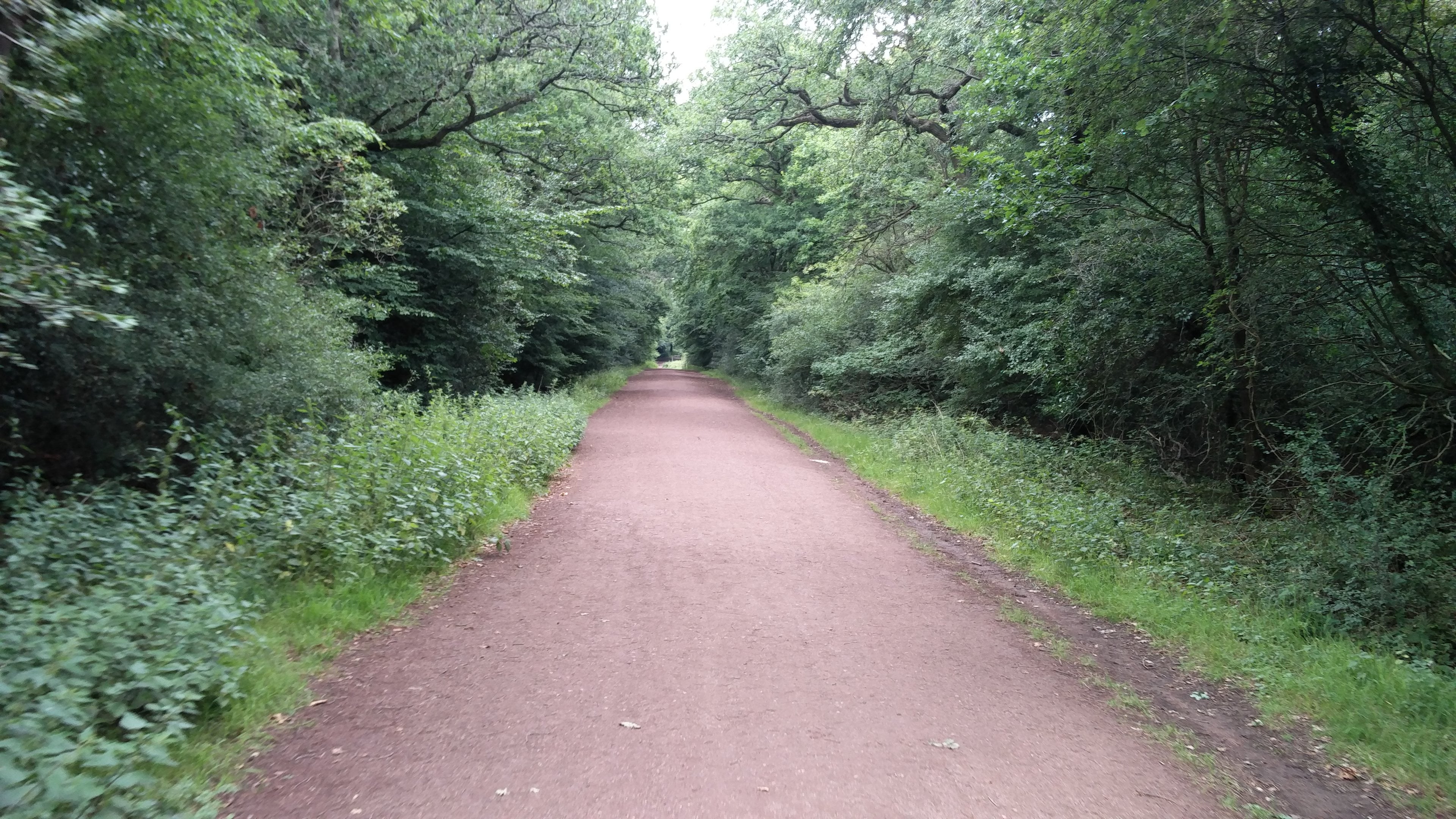 Epping Forest Experience banner