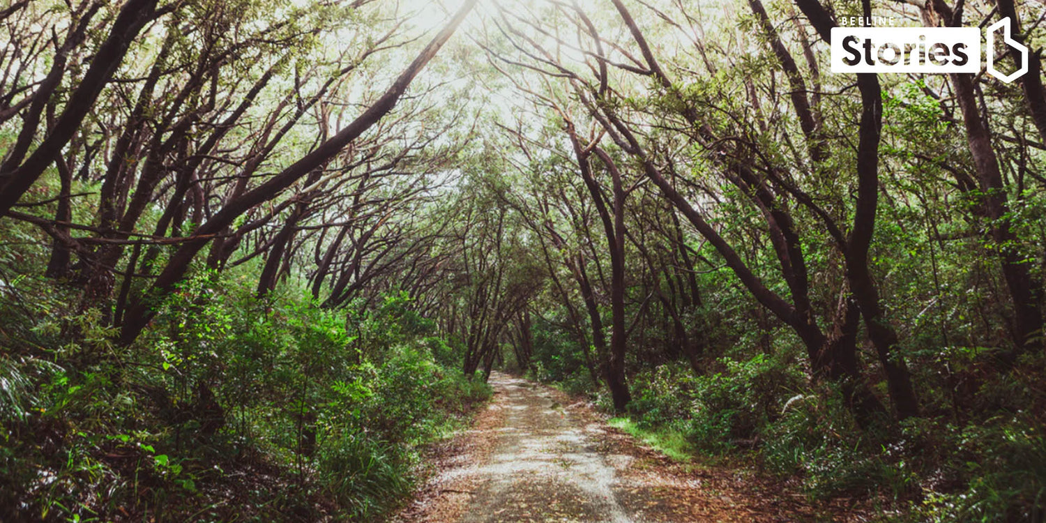 Introducing Clara and Matt