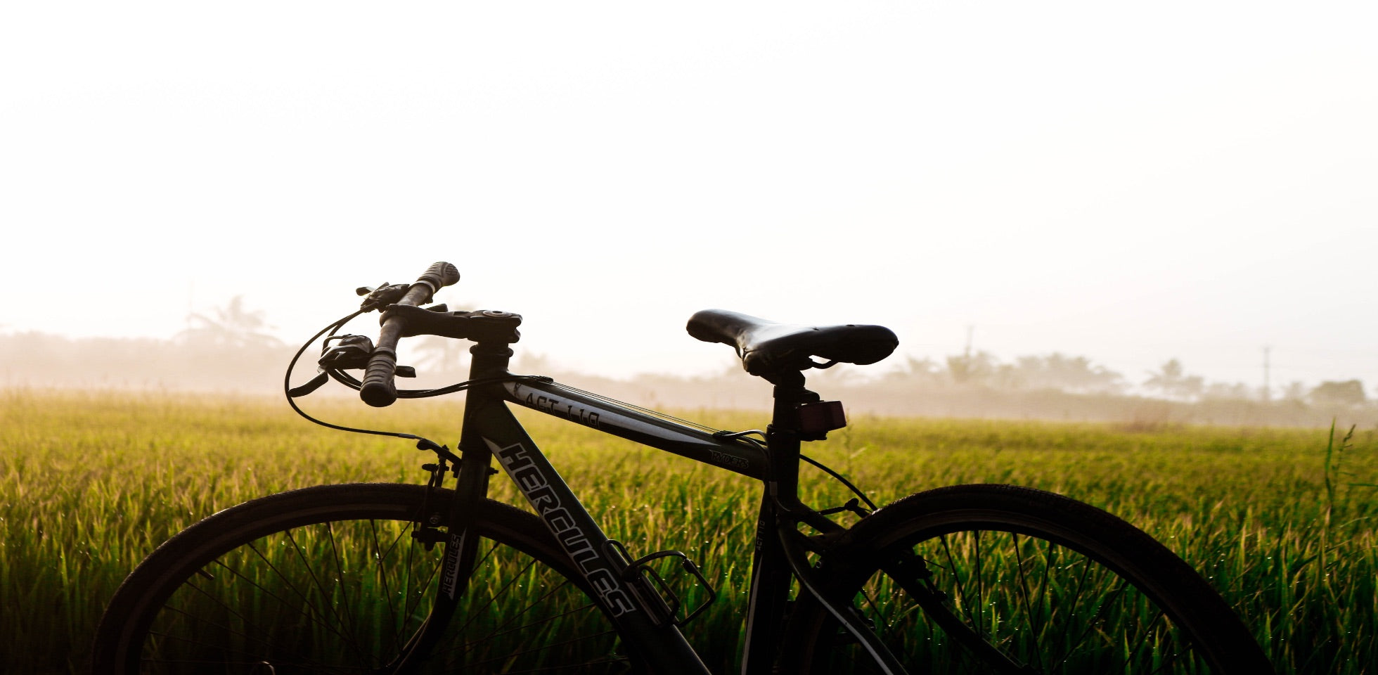 🚴🏽♀️🌳 The top 10 best quiet cycle routes in London 🚴🏼🌿