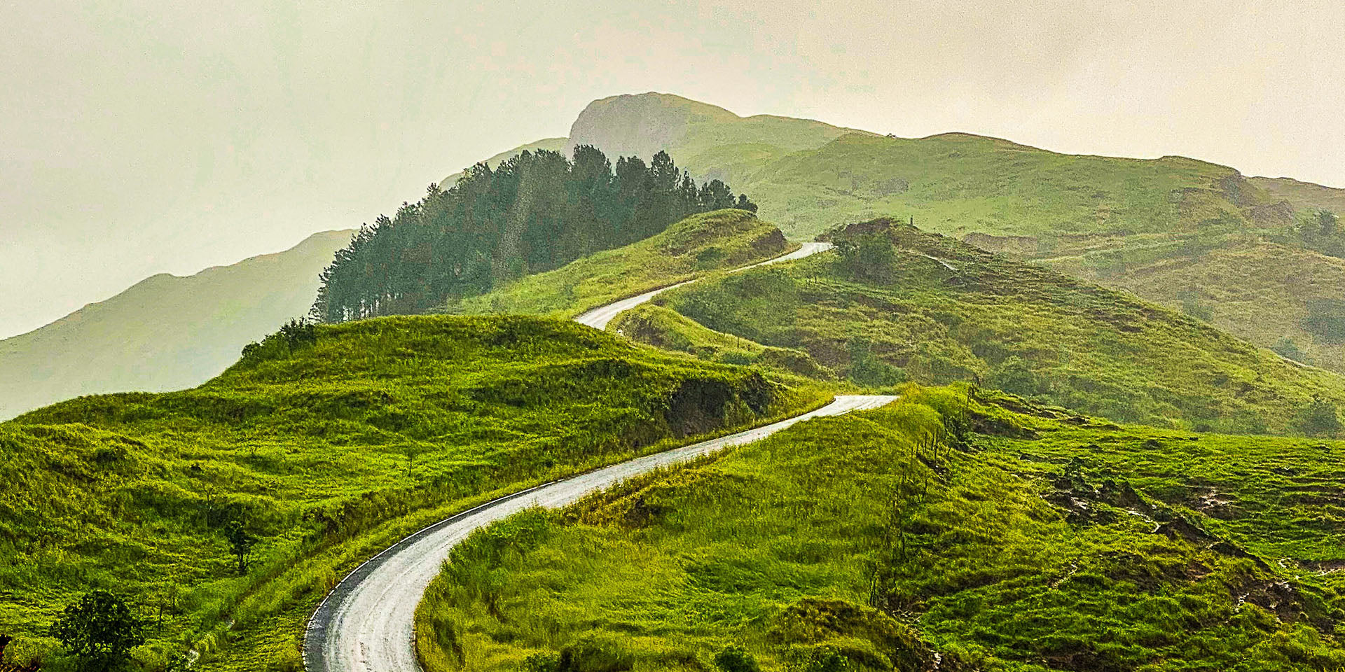 New feature: Elevation gain and loss