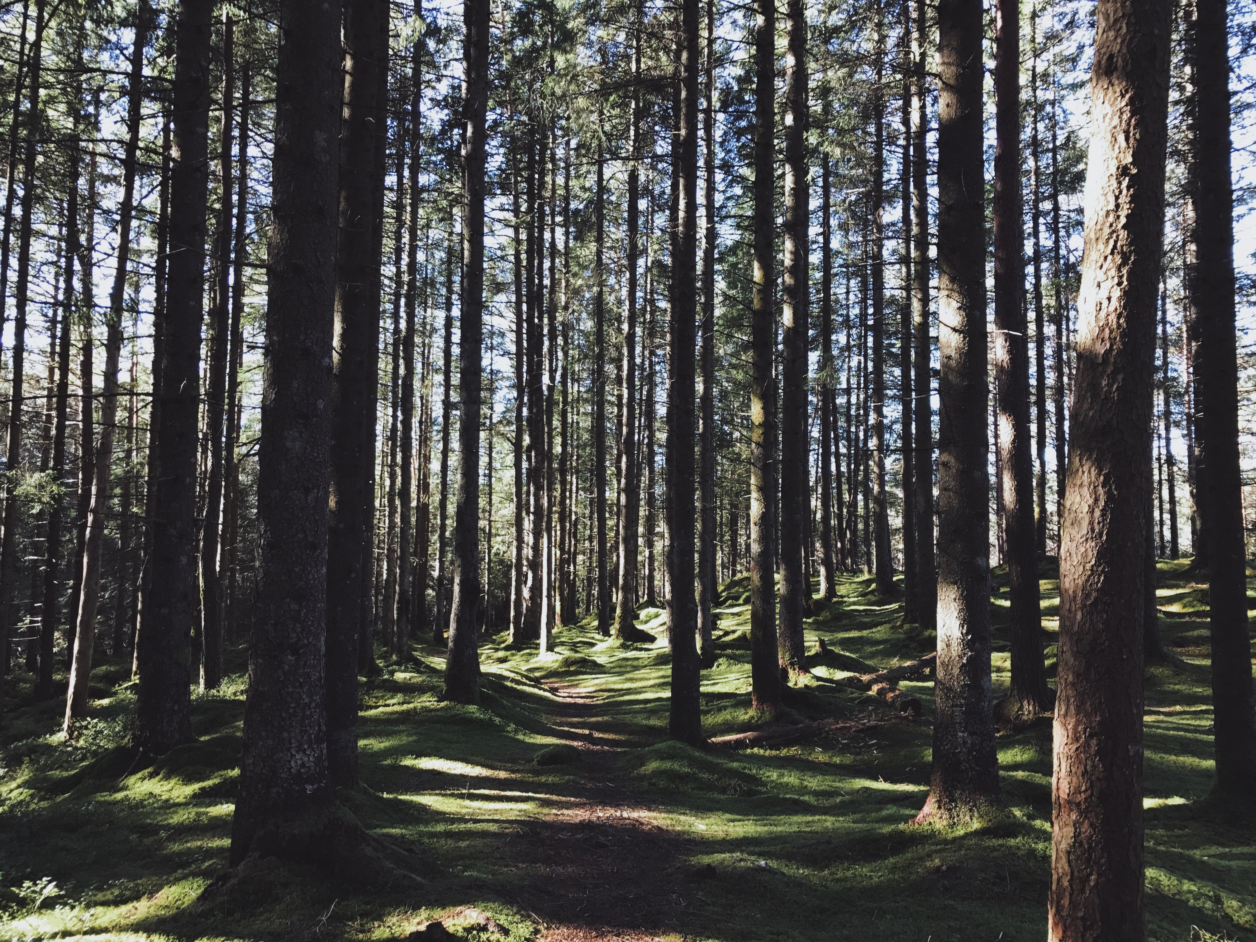 Best cycle routes London: London’s (not so) secret forest