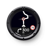 Beeline Moto II Anniversary Edition